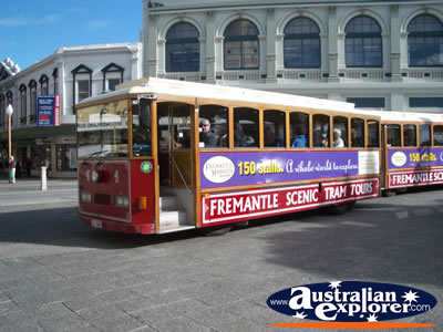 Fremantle Scenic Tram Tour . . . CLICK TO VIEW ALL FREMANTLE POSTCARDS