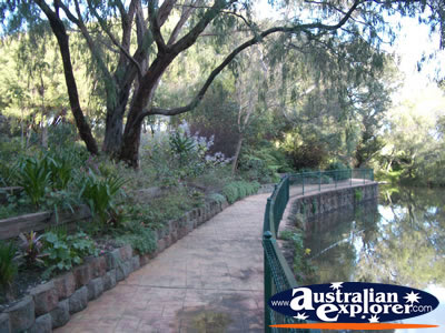 Harvey River Walkway . . . CLICK TO VIEW ALL HARVEY POSTCARDS