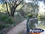 Harvey River Walkway . . . CLICK TO ENLARGE