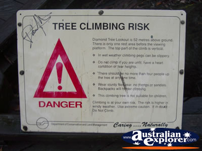 Manjimup Diamond Tree Lookout Sign . . . CLICK TO VIEW ALL MANJIMUP (DIAMOND TREE LOOKOUT) POSTCARDS