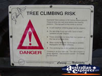 Manjimup Diamond Tree Lookout Sign . . . CLICK TO ENLARGE