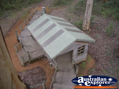 Manjimup Diamond Tree Lookout From Above . . . CLICK TO VIEW ALL MANJIMUP (DIAMOND TREE LOOKOUT) POSTCARDS