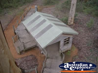 Manjimup Diamond Tree Lookout From Above . . . CLICK TO ENLARGE
