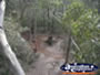 Manjimup Diamond Tree Lookout Half Way Up . . . CLICK TO ENLARGE