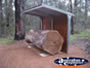 Manjimup King Jarrah Heritage Trail . . . CLICK TO ENLARGE