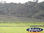 Margaret River Wine Region . . . CLICK TO ENLARGE