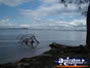 Peel Inlet . . . CLICK TO ENLARGE