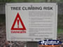 Pemberton Gloucester Tree Sign . . . CLICK TO ENLARGE