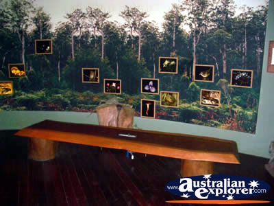 Pemberton Visitor Centre Forest Discovery Centre . . . CLICK TO VIEW ALL PEMBERTON POSTCARDS