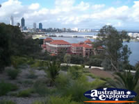 Perth Cbd From Kings Park . . . CLICK TO ENLARGE
