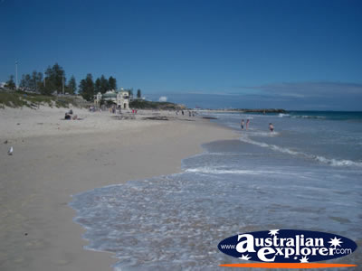 View of Perth Cottesloe Beach . . . CLICK TO VIEW ALL PERTH BEACHES POSTCARDS