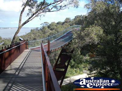 Perth Kings Park Lotterywest Federation Walkway Arched Bridge . . . CLICK TO VIEW ALL PERTH (KINGS PARK) POSTCARDS