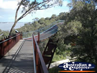 Perth Kings Park Lotterywest Federation Walkway Arched Bridge . . . CLICK TO ENLARGE