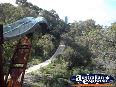 Kings Park Lotterywest Federation Walkway Arched Bridge in Perth . . . VIEW ALL PERTH (KINGS PARK) PHOTOGRAPHS