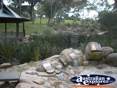 Kings Park Water Gardens in Perth . . . CLICK TO VIEW ALL PERTH (KINGS PARK) POSTCARDS