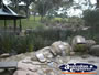 Kings Park Water Gardens in Perth . . . CLICK TO ENLARGE