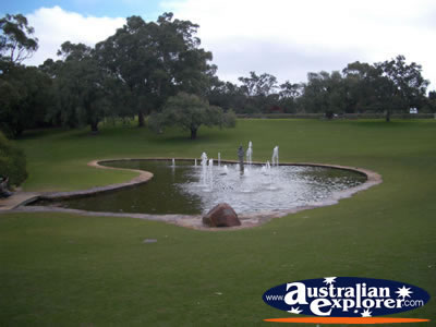 Perth Kings Park Water Gardens . . . CLICK TO VIEW ALL PERTH (KINGS PARK) POSTCARDS