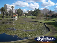 Queens Gardens in Perth . . . CLICK TO ENLARGE