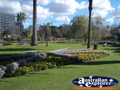 Landscape of Perth Queens Gardens . . . CLICK TO VIEW ALL PERTH (GARDENS) POSTCARDS