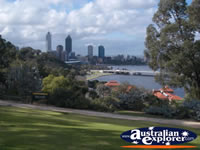 Perth Roe Lookout Western Australian Botanic Gardes Kings Park . . . CLICK TO ENLARGE