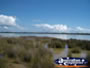 Yalgorup National Park Lake Clifton . . . CLICK TO ENLARGE