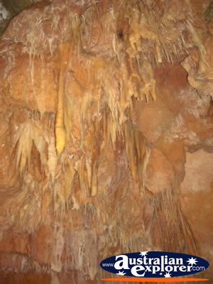 Yanchep National Park Cave Roof . . . CLICK TO VIEW ALL YANCHEP (CAVES) POSTCARDS