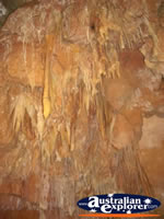 Yanchep National Park Cave Roof . . . CLICK TO ENLARGE