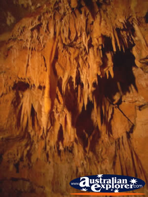 Caves Roof in Yanchep National Park . . . CLICK TO VIEW ALL YANCHEP (CAVES) POSTCARDS