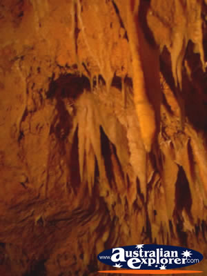 Yanchep National Park Roof of Caves . . . VIEW ALL YANCHEP (CAVES) PHOTOGRAPHS