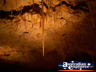 WA's Caved in Yanchep National Park . . . CLICK TO VIEW ALL YANCHEP (CAVES) POSTCARDS