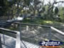 Yanchep National Park Boardwalk