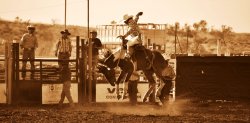 Outback Rodeo