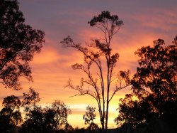The Lands Vibrant Colours