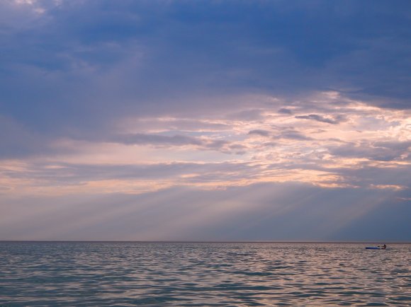 Summer Serenity