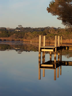 Still Water