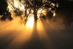 Dusty Sunset
