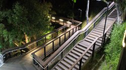 Night Walk