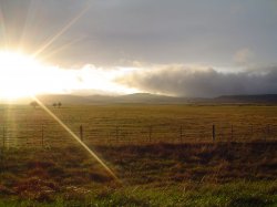 Tasmanian Midlands