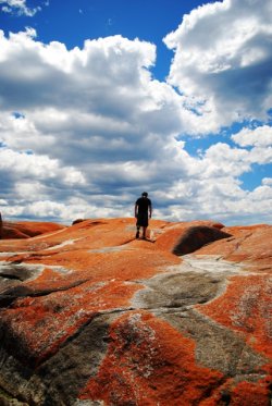 Red Rocks Figure