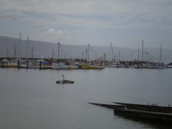 Boats Near The Bay