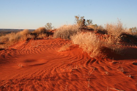 Red Centre Waves
