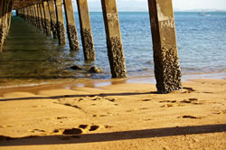Picnic Bay