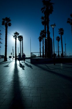 The Shadow Of Life