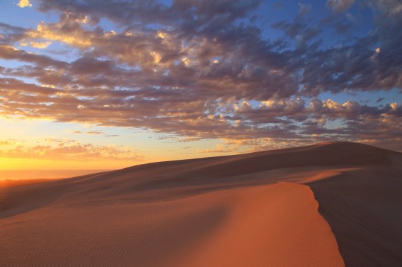 Desert Wind