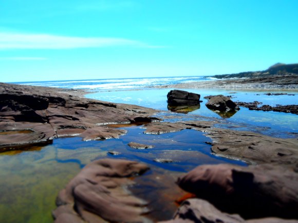 Pools Of Wonder