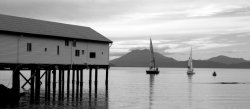 The Port