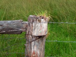 Fence