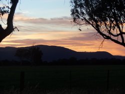 Sunrise