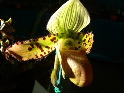 The Beauty That Came Out Of The Dark