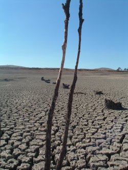 Drought At Pejar Dam
